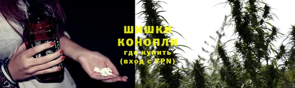 шишки Алзамай