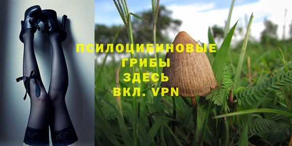 шишки Алзамай