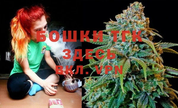 шишки Алзамай